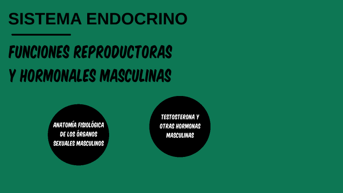 Funciones Reproductoras Y Hormonales Masculinas By Ricardo Roldan Obando 8470
