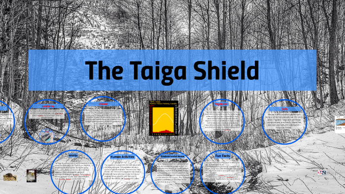 The Taiga Shield By Spencer Hedge