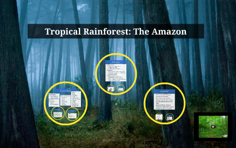 Tropical Rainforest: The Amazon by on Prezi