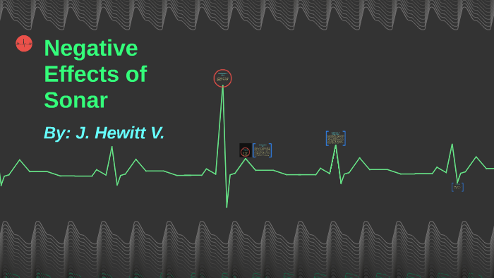 negative-effects-of-sonar-by-jem-hw