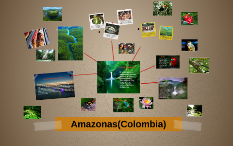Amazonas (Colombia) by viviana ortiz on Prezi