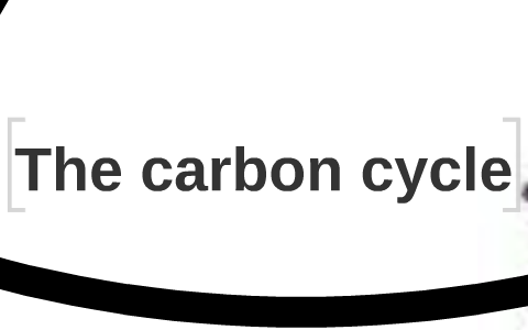 The carbon cycle by Koby Johnson on Prezi