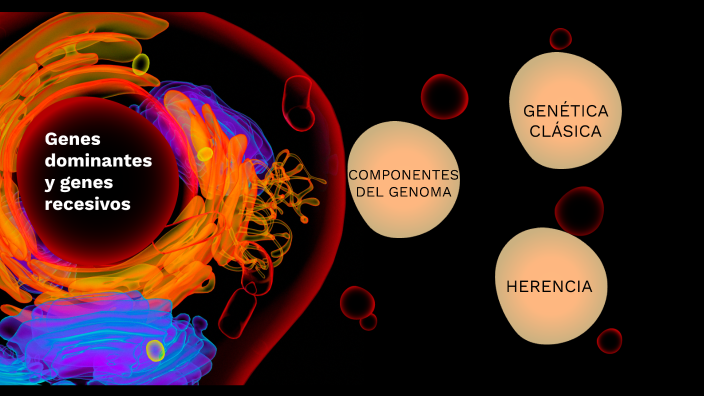 genes recesivos