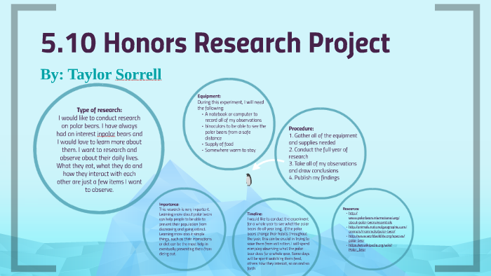 undergraduate honors research project