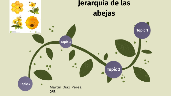 Jerarquia de las abejas by Martin Diaz Perea on Prezi