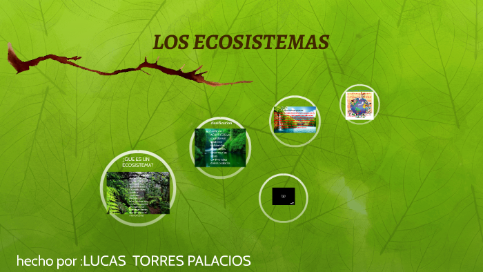 LOS ECOSISTEMAS by Lucas Said Torres Palacios on Prezi