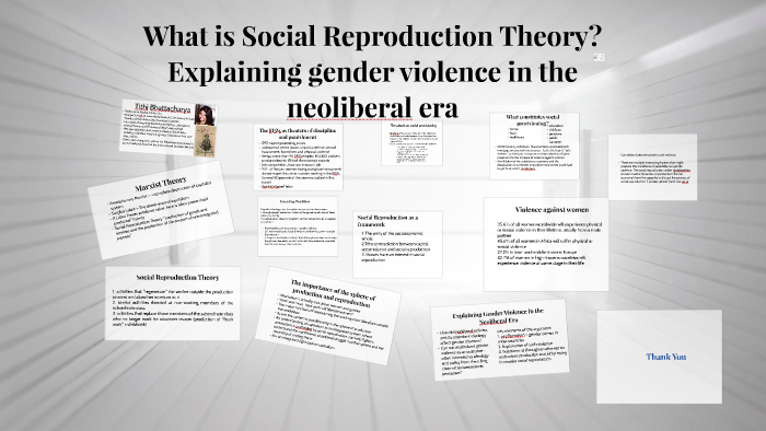 what-is-social-reproduction-theory-by