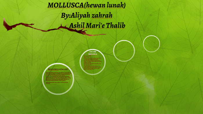 Mollusca Hewan Lunak By Aliya Zahra On Prezi