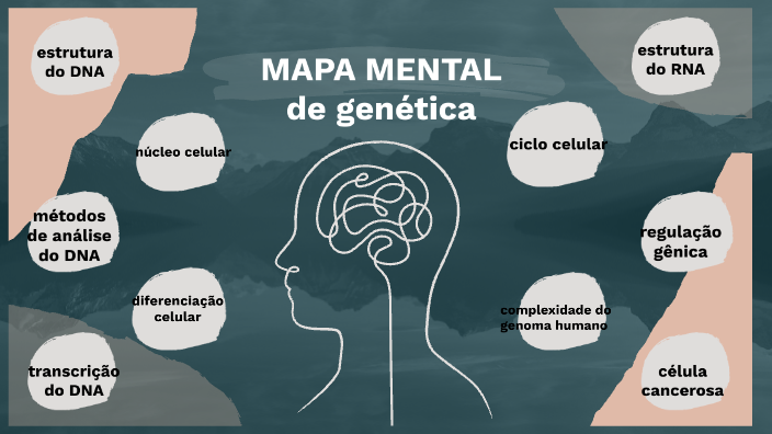 MAPA MENTAL DIVISÃO CELULAR - Biologia Celular