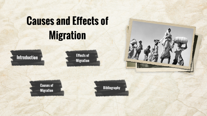 migration cause and effect essay