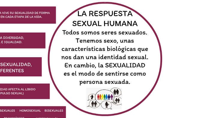 La Respuesta Sexual Humana By Lucía Martínez Sánchez On Prezi 9744
