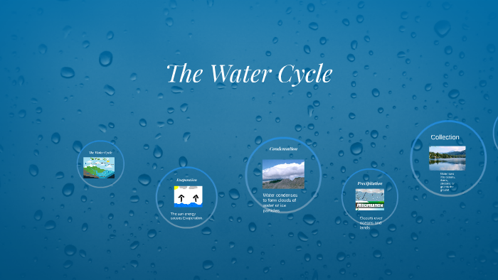 The Water Cycle by Mayra Sanchez on Prezi