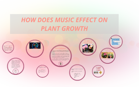 The Effect Of Music On Plant Growth Dengarden