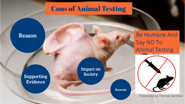 cons of animal testing essay