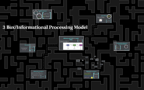 3 Box/Informational Processing Model by Rachel Santucci on Prezi