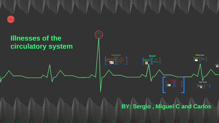 Illnesses of the circulatory system by miguel castillo on Prezi