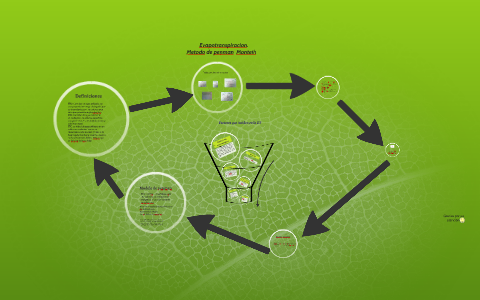 Evapotranspiracion. Metodo de penman Monteih by richaard marin on Prezi