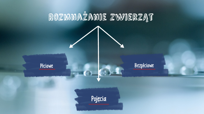 Rozmnażanie płciowe i bezpłciowe by Kamil Prawda on Prezi