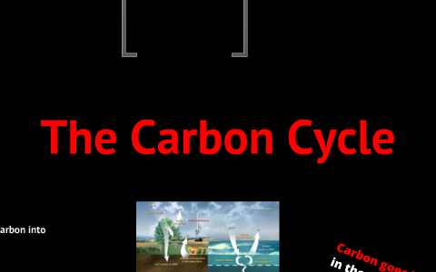 The carbon cycle by Jeremy Lin on Prezi