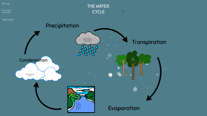 THE WATER CYCLE by Emily Partrich on Prezi