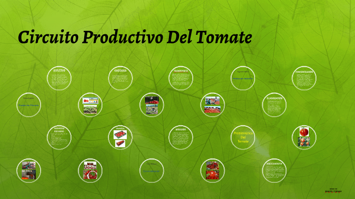 Circuito Productivo De La Salsa De Tomate Online Exercise For