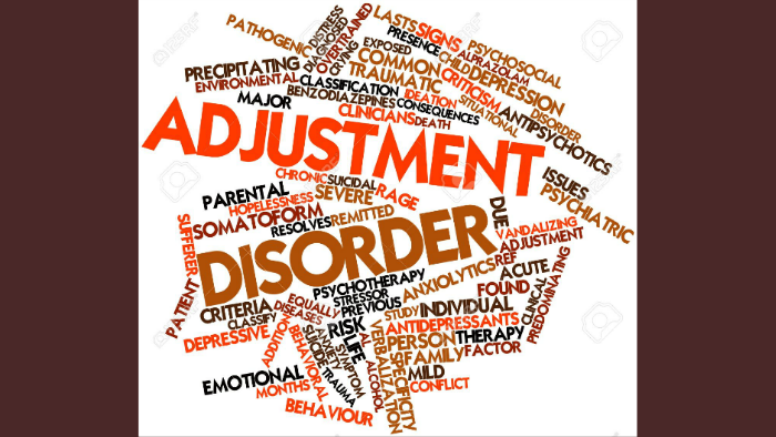 Adjustment Disorder by Ola Kings