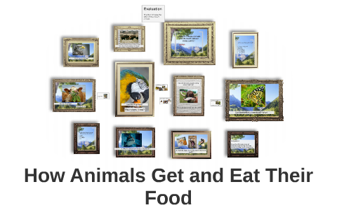 How Animals Get and Eat Their Food by Jeffrey Aguila