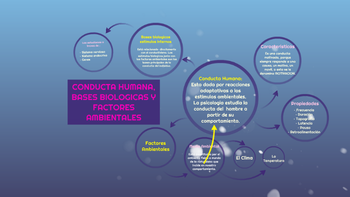 Conducta Humana, Bases biologicas y Factores ambientales by Liz Peralta