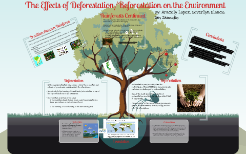 The Effects of Deforestation/Reforestation on the Environment by ...