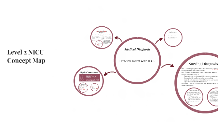 NICU Concept Map by on Prezi