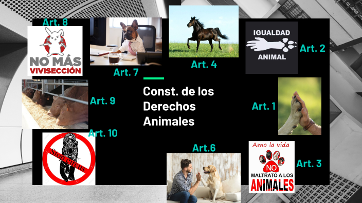 Derechos Animales by Adriel Pat on Prezi