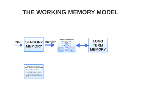 THE WORKING MEMORY MODEL by Anoshamisa G on Prezi