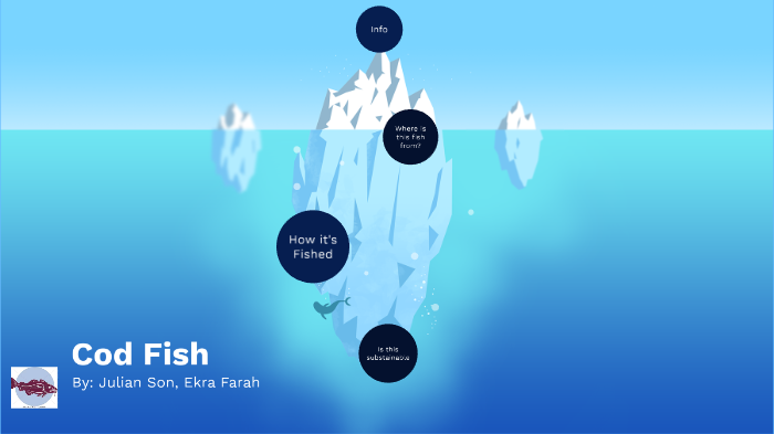 Cod Fish by Julian Truong on Prezi