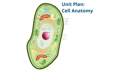 Unit Plan: Cell Anatomy by Galen Lee on Prezi