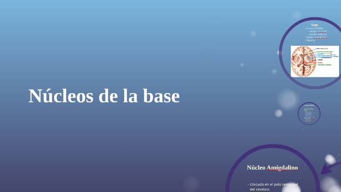 Núcleos de la base by Johanna Giraldo Prieto on Prezi