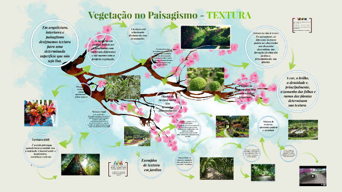 vegetação  Aula de Paisagismo