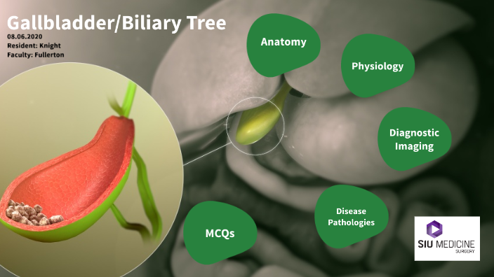 Gallbladder/Biliary Tree by Samantha Knight on Prezi