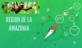 REGION DE LA AMAZONIA by Tomas Alejandro Gonzalez Becerra on Prezi