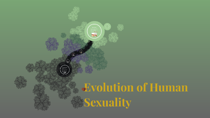 Evolution Of Human Sexuality By Amos Moz