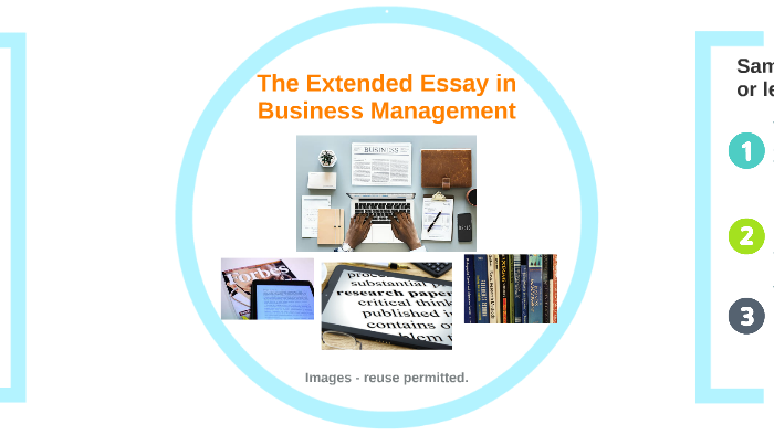 business and management essay