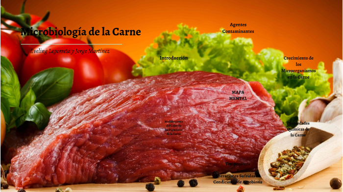 microbiologia de la carne by JORGE MARTINEZ IZAZAGA on Prezi