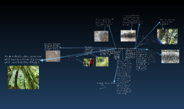 Summative Assessment. by student06 3R on Prezi