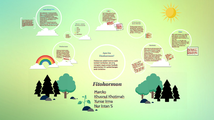 Fitohormon By Yuniar Irma On Prezi