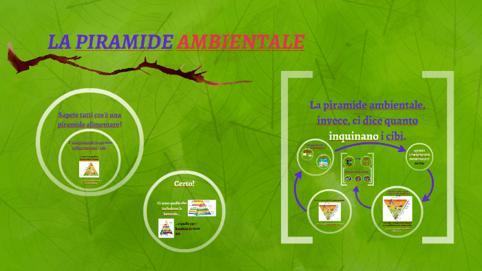 La Piramide Ambientale By Samuele Moretti