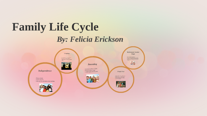 family-life-cycle-by-felicia-erickson