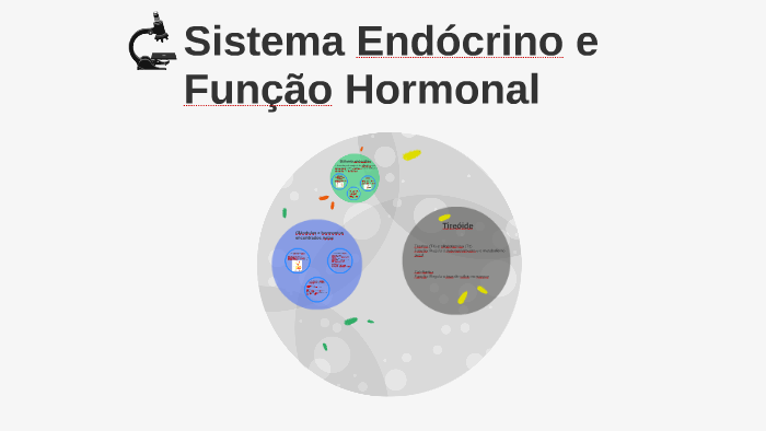 Sistema Endócrino e Função Hormonal by Mari Fonseca on Prezi