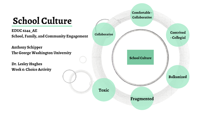 types-of-school-culture-by-anthony-schipper