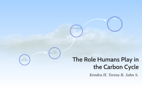 The Role Humans Play in the Carbon Cycle by kendra herrington