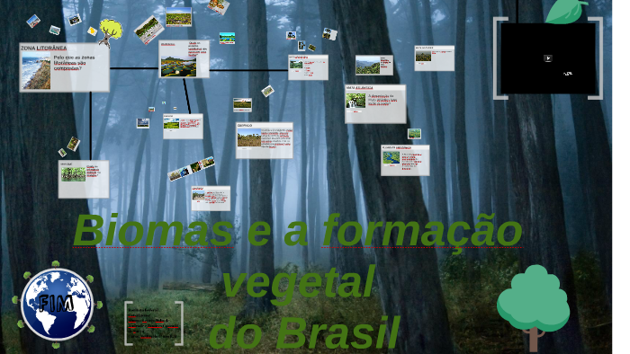 biomas e a formação da vegetação do Brasil by Tamires Souza on Prezi