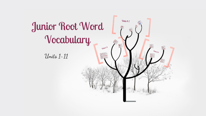 junior-root-word-vocabulary-units-1-11-by-danielle-hill